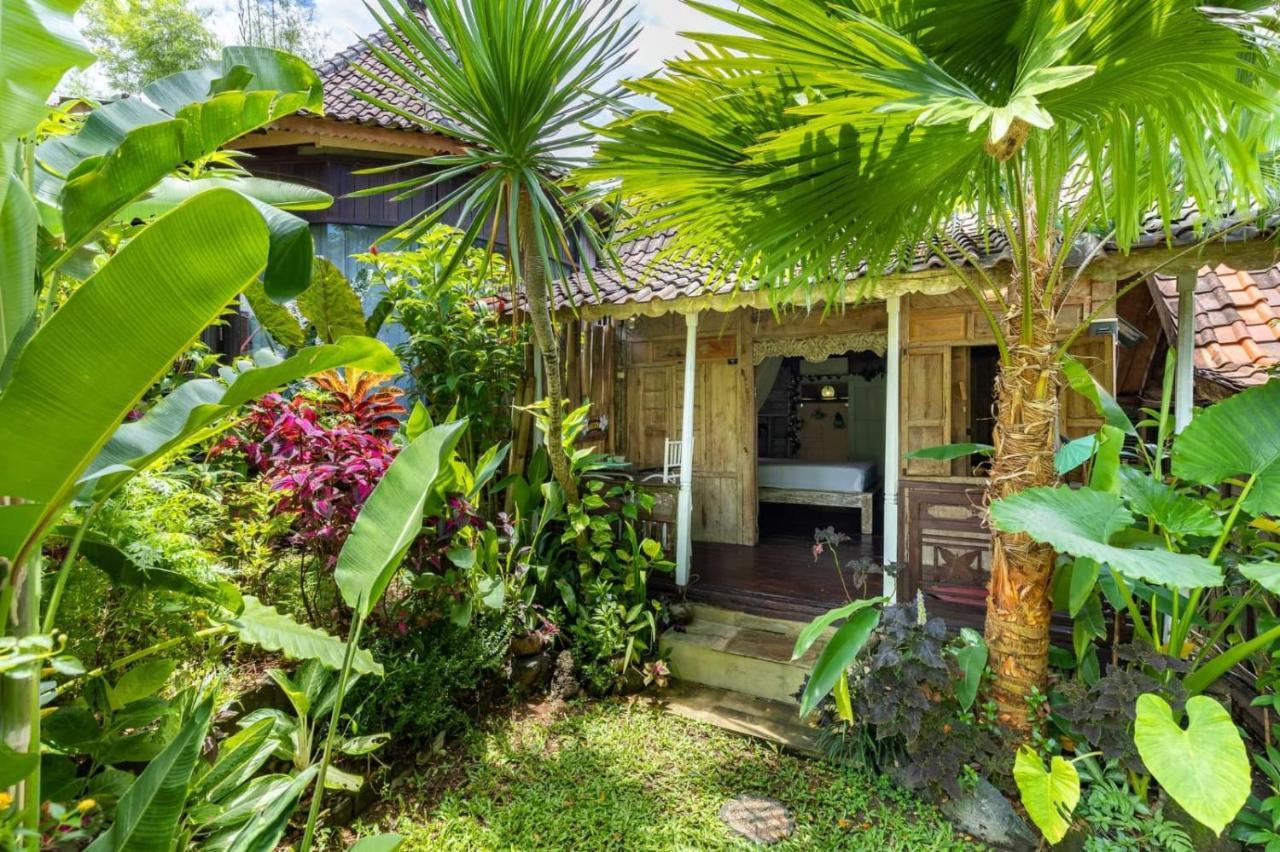 Bali Brothers Guesthouse Dalung  Dış mekan fotoğraf